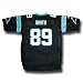 Steve Smith #89 Carolina Panthers NFL Replica Player Jersey (Team Color)
