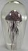 Decorative Tozai Hand Blown Glass Ocean Themed Art Sculpture, Jelly Fish in Glass Design, Purple Jellyfish