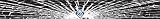 Tampa Bay Devil Rays Shattered Auto Visor Decal