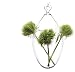 Chive Hudson 4 Hanging Egg Vase