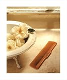 Amber Comb by Sondra Wampler poster print,10 in. x 12 in.
