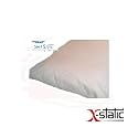 Pillow Protector (Set of 2) Silver Protection