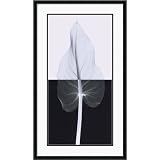 Calla Leaf II Framed Lithograph by Steven Meyers - 29.1x17.1