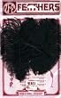 Ostrich Feathers-2PK/Black