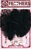 Ostrich Feathers-2PK/Black