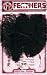 Ostrich Feathers 2/pkg-black