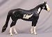 American Overo Paint Horse