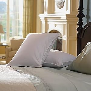 Set of Two Firm Luxury Down Pillows - King - Frontgate