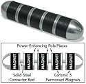Master Magnetics Cow Magnet 07238