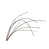 The Light Garden NPWL80 Natural Pussy Willow with 80 Lights