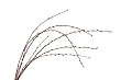 The Light Garden WGARWLWB96 White Willow Garland Accent Light with 96 Lights