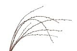 The Light Garden WLWB96 Willow Branch with 96 Lights