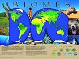Biomes Poster