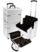 Health & Personal Care : Pro Rolling Aluminum Makeup Case W/ Dividers
