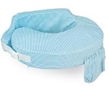 My Brest Friend Original Slipcover - Blue and White Stripe