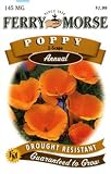 41iHJqtH0lL. SL160  Seeds of Change S10715 Certified Organic Cornfield Poppy, 150 Seed Count