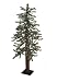 3' Pre-Lit Snowy Flocked Alpine Artificial Christmas Tree - Multi Lights