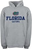 Florida Gators Youth Grey Tackle Twill Hooded Sweatshirt