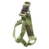 Spindrift Step-In Dog Harness