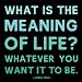 Quotable The Meaning of Life - Frey Magnet