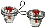 Flower Pot 2 Hummingbird Feeder Clear