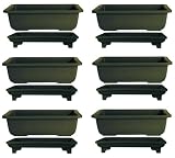10 inch Bonsai Pots with Trays | 6 pack from joebonsai