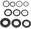 BLACK PVD COATED SEGMENT RING SGR81/2BK -8G 1/2