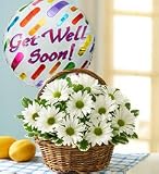 Flowers by 1800Flowers - Basket Full of Daisies with Get Well Balloon - Small