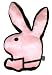 Playboy Kissen Bunny Rosa