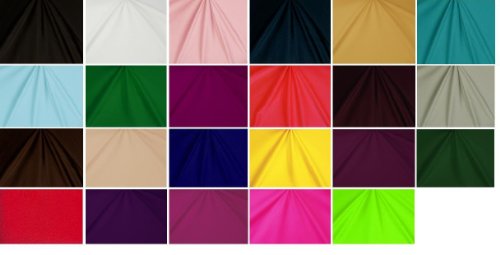 DanceNWear Adult Nylon/lycra Booty Shorts with Elastic Waistband (24 Colors)