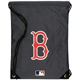 Boston Red Sox MLB Team Gym Back Sack