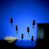 Seahorse Seahorse Colors: Black
