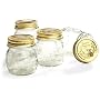 Bormioli Rocco Quattro Stagioni 8-1/2-Ounce 4-Piece Canning Jar Set, Gift Boxed