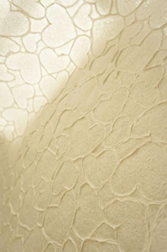 Exotic Elegance 2 Sheet Gift Wrap Valentine's Matched Embossed Heart Mulberry Paper White.