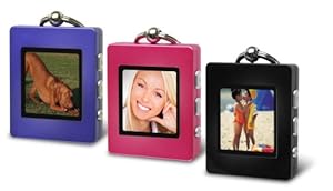 The Sharper Image Digital Photo Keychain