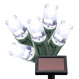 Philips 50ct. LED Solar Powered String Lights - Cool White Bulbs