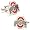 Ohio State Buckeyes