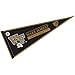 Wake Forest Pennant Full Size Felt