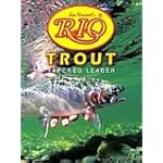Rio