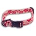 Bison Pet 1" Red Hawaiian Adjustable Nylon Dog Collar