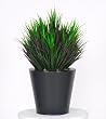 Artificial Burgundy/Green Vanilla Grass in Zinc Planter