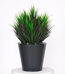 Artificial Burgundy/Green Vanilla Grass in Zinc Planter