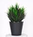Artificial Burgundy/Green Vanilla Grass in Zinc Planter