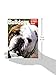 Bulldogs: Everything About Health, Behavior, Feeding, and Care (Complete Pet Owner's Manual)