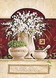 Eurographics CA1067 Claudia Ancilotti, Ginestra 50 x 70 cm, Hochwertiger Kunstdruck - Stillleben
