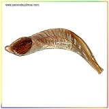 Kosher Shofar 9-11 Half Polished Natural Israel New