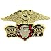 Honda Gold Wing Logo Pin 1"