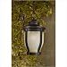 Great Outdoors by Minka 8764-166-PL Merrimack Energy Star One Light Outdoor Chain Hun...