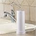 The 10 Year Water Filter.