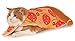 Pizza Slice Pet Suit, Small
